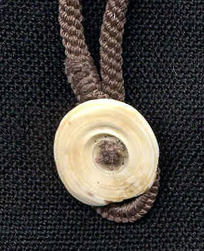 Katie Singer's Jewelry - New Guinea shell hairpiece necklace