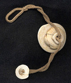 Katie Singer's Jewelry - New Guinea Shells